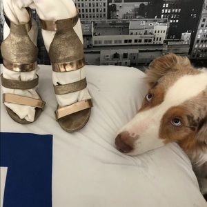 Women's high-heel shoes.